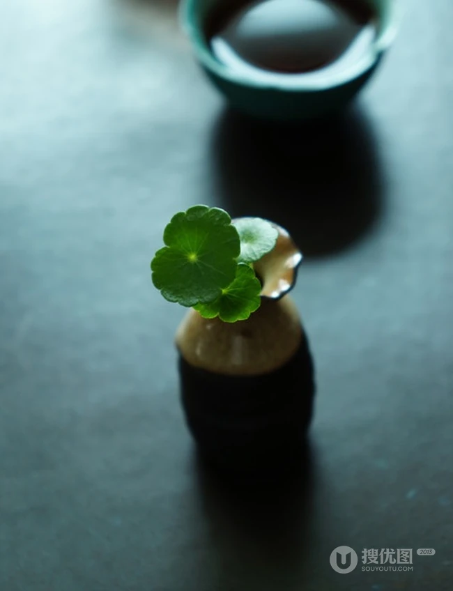金钱草图片，金钱草（铜钱草）好看唯美图片