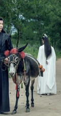王一博&肖战《陈情令》大结局唯美高清剧照图片