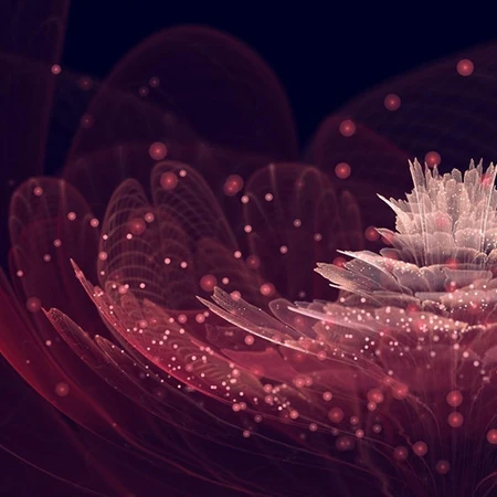 唯美梦幻七彩水晶莲花科幻3D场景意境图片
