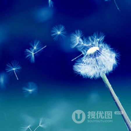 蒲公英好看头像，想给自己换个清新的蒲公英头像吗？