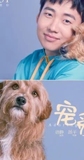 电影《宠爱》各明星主演和他们的宠物搭档温馨合照海报图片