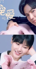 电影《宠爱》各明星主演和他们的宠物搭档温馨合照海报图片