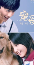 电影《宠爱》各明星主演和他们的宠物搭档温馨合照海报图片