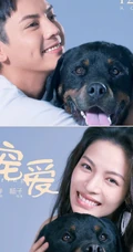 电影《宠爱》各明星主演和他们的宠物搭档温馨合照海报图片