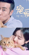 电影《宠爱》各明星主演和他们的宠物搭档温馨合照海报图片