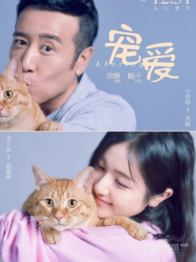 电影《宠爱》各明星主演和他们的宠物搭档温馨合照海报图片