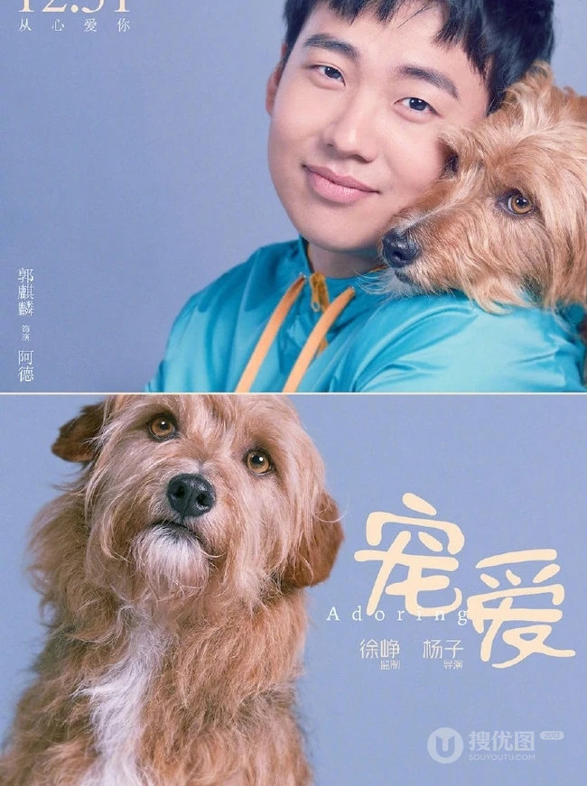 电影《宠爱》各明星主演和他们的宠物搭档温馨合照海报图片