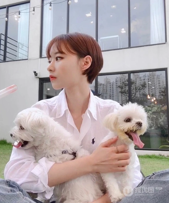 露耳短发女生图片欣赏，清爽帅气清新的女生短发发型 第3张