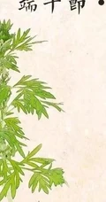 艾草图片，艾草叶图片，功能丰富的艾草图片分享