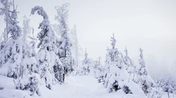 雪景桌面壁纸-皑皑白雪下的各地风景壁纸美图