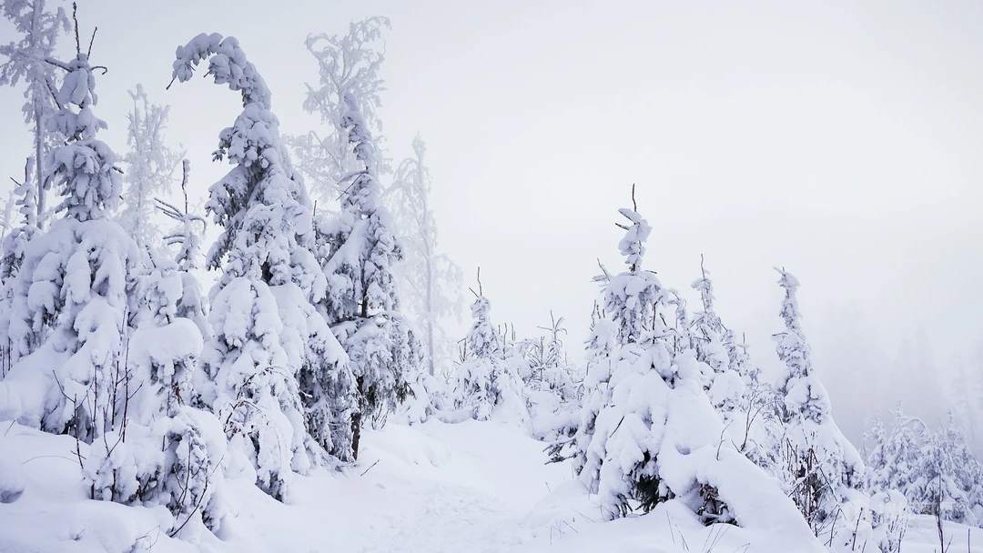 雪景桌面壁纸-皑皑白雪下的各地风景壁纸美图