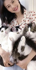 高圆圆晒工作室照片，花衬衫配牛仔裤逗猫签名很开心