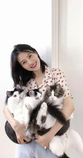 高圆圆晒工作室照片，花衬衫配牛仔裤逗猫签名很开心