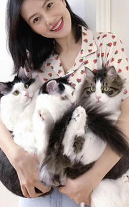 高圆圆晒工作室照片，花衬衫配牛仔裤逗猫签名很开心