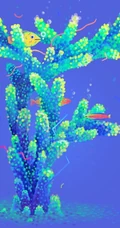 清新珊瑚水母字体字母插画设计作品欣赏