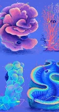 清新珊瑚水母字体字母插画设计作品欣赏