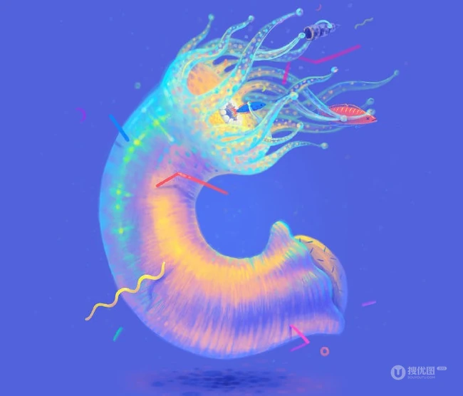 清新珊瑚水母字体字母插画设计作品欣赏