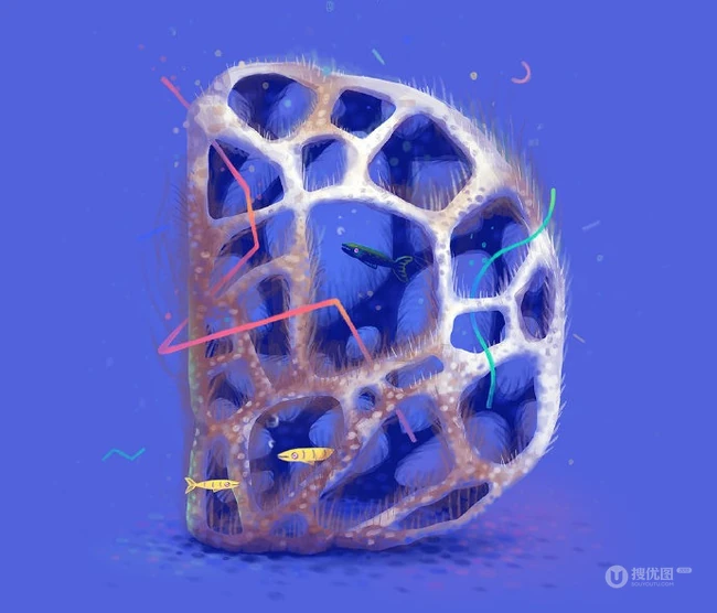清新珊瑚水母字体字母插画设计作品欣赏