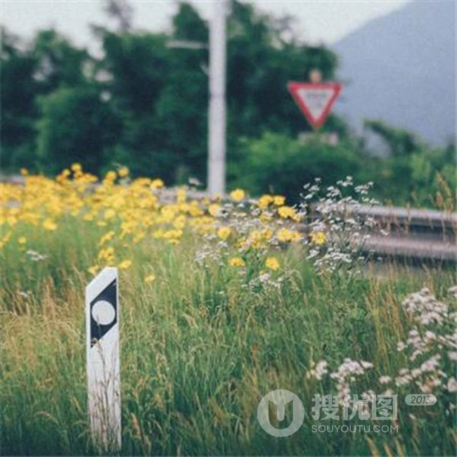 唯美小清新户外草地等场景意境美图欣赏 第4张