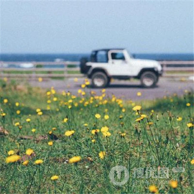 唯美小清新户外草地等场景意境美图欣赏 第8张