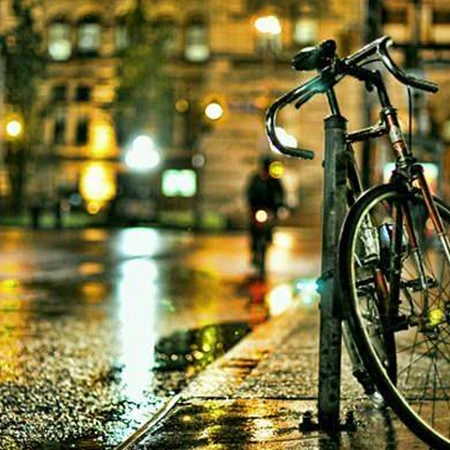 下雨天里的篮球、鸭梨、枯叶、自行车等唯美高清意境图片