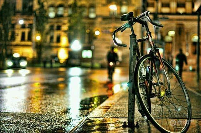 下雨天里的篮球、鸭梨、枯叶、自行车等唯美高清意境图片 第1张