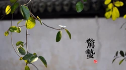 中国风24节气高清风景壁纸套图