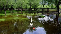 中国风24节气高清风景壁纸套图