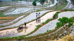 中国风24节气高清风景壁纸套图