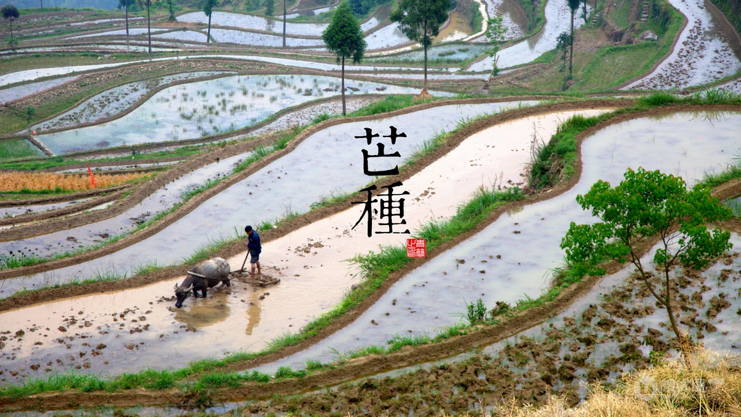 中国风24节气高清风景壁纸套图