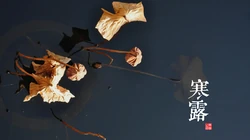 中国风24节气高清风景壁纸套图