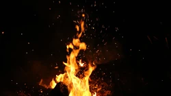 燃烧的火焰花，火焰掌，火焰字母等创意好看桌面壁纸图片