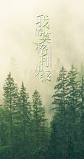 电视剧《我的莫格利男孩》高清海报配文字唯美图片