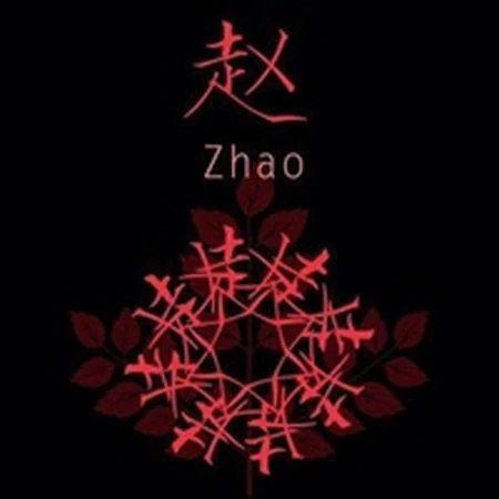 赵姓头像，带赵字好看的赵姓文字头像图片大全