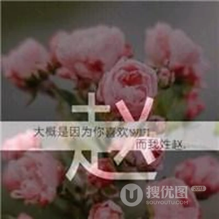赵姓头像，带赵字好看的赵姓文字头像图片大全