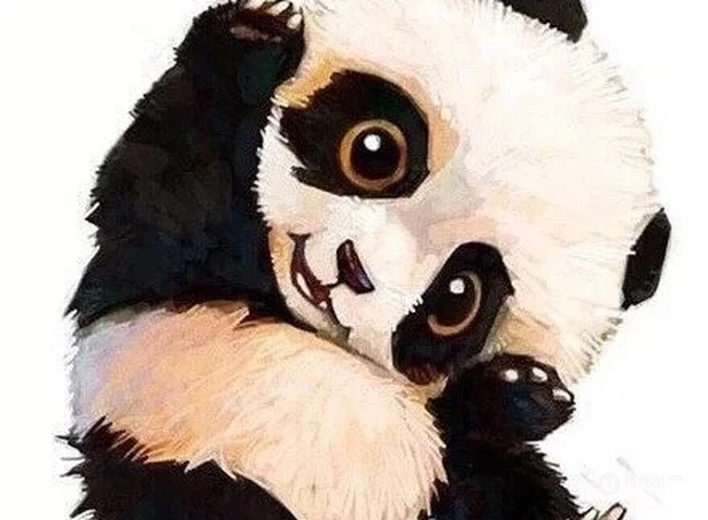熊猫纹身图案，超级可爱萌的国宝熊猫纹身图案和手稿 第2张