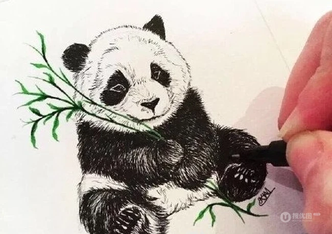 熊猫纹身图案，超级可爱萌的国宝熊猫纹身图案和手稿 第5张