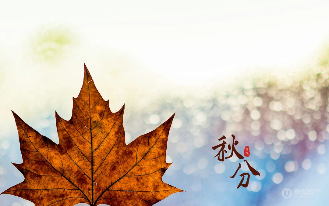 又是一年秋分时，唯美枫叶背景为主的秋分主题桌面壁纸