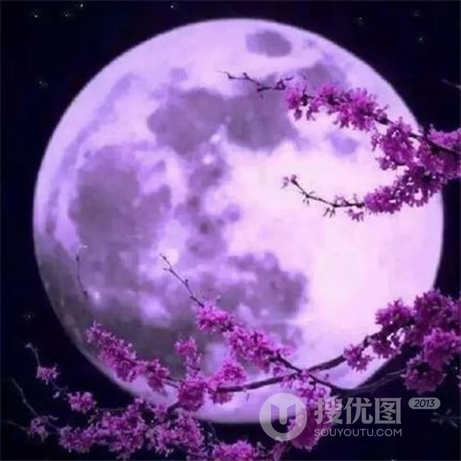 中秋月亮图片，高挂天上圆又亮的明月唯美意境图片 第4张
