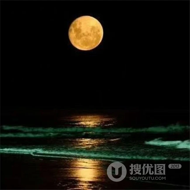 中秋月亮图片，高挂天上圆又亮的明月唯美意境图片 第1张