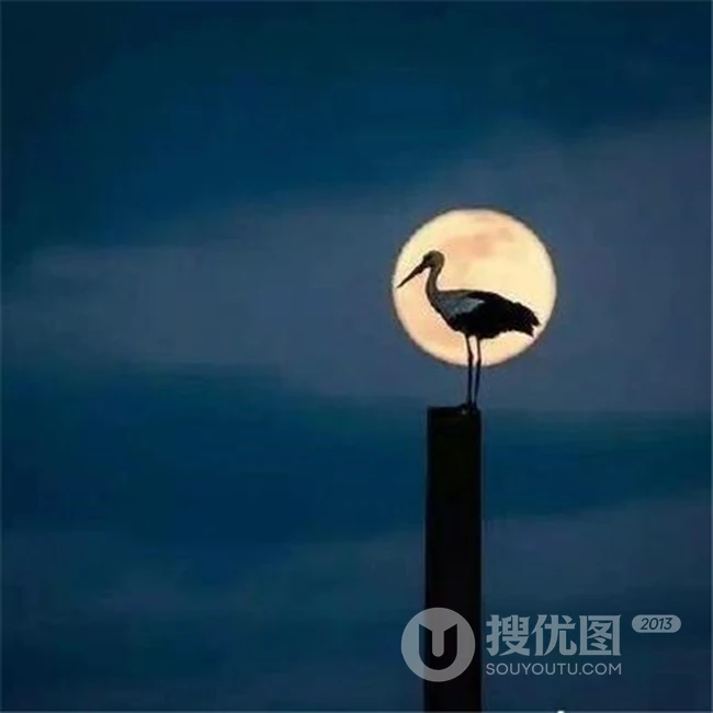 中秋月亮图片，高挂天上圆又亮的明月唯美意境图片 第9张