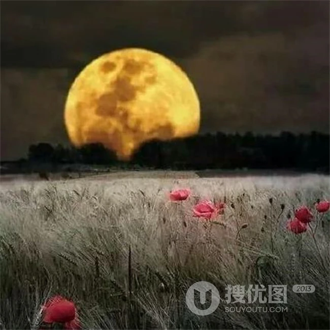 中秋月亮图片，高挂天上圆又亮的明月唯美意境图片 第5张