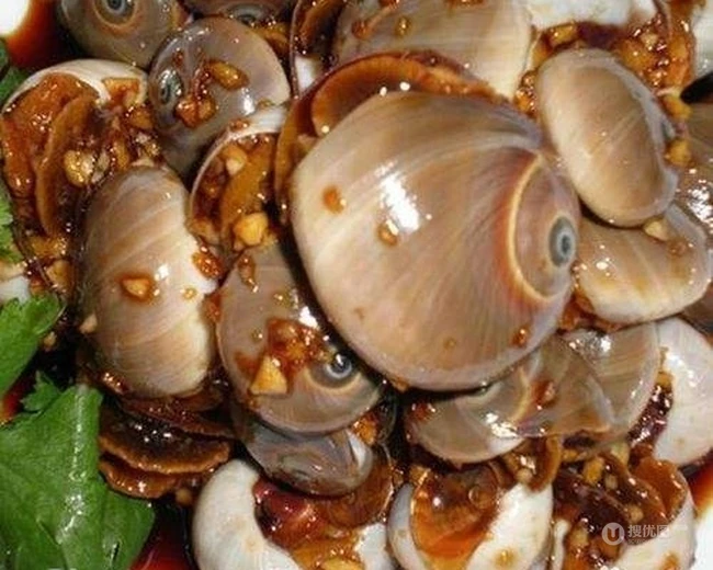 美味香辣的扁玉螺图片，看起来很好吃的样子 第2张