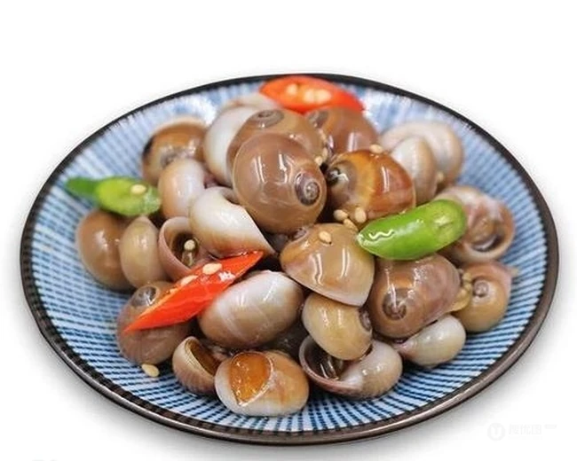 美味香辣的扁玉螺图片，看起来很好吃的样子 第3张