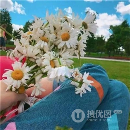 2019清新好看唯美气球，天空，或小物件等新款微信头像