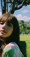 泰国籍女歌手Lisa夏威夷椰树林旅拍风情写真图片