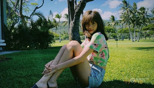 泰国籍女歌手Lisa夏威夷椰树林旅拍风情写真图片