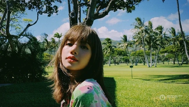 泰国籍女歌手Lisa夏威夷椰树林旅拍风情写真图片