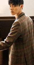 李程彬休闲格纹西服与花同框唯美画面写真图片