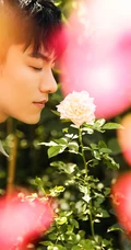 李程彬休闲格纹西服与花同框唯美画面写真图片